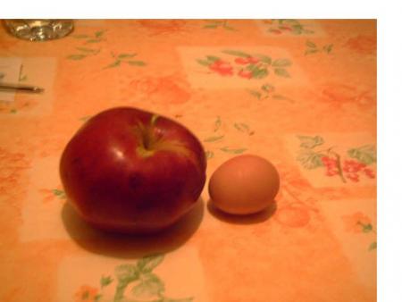La pomme et l'oeuf
